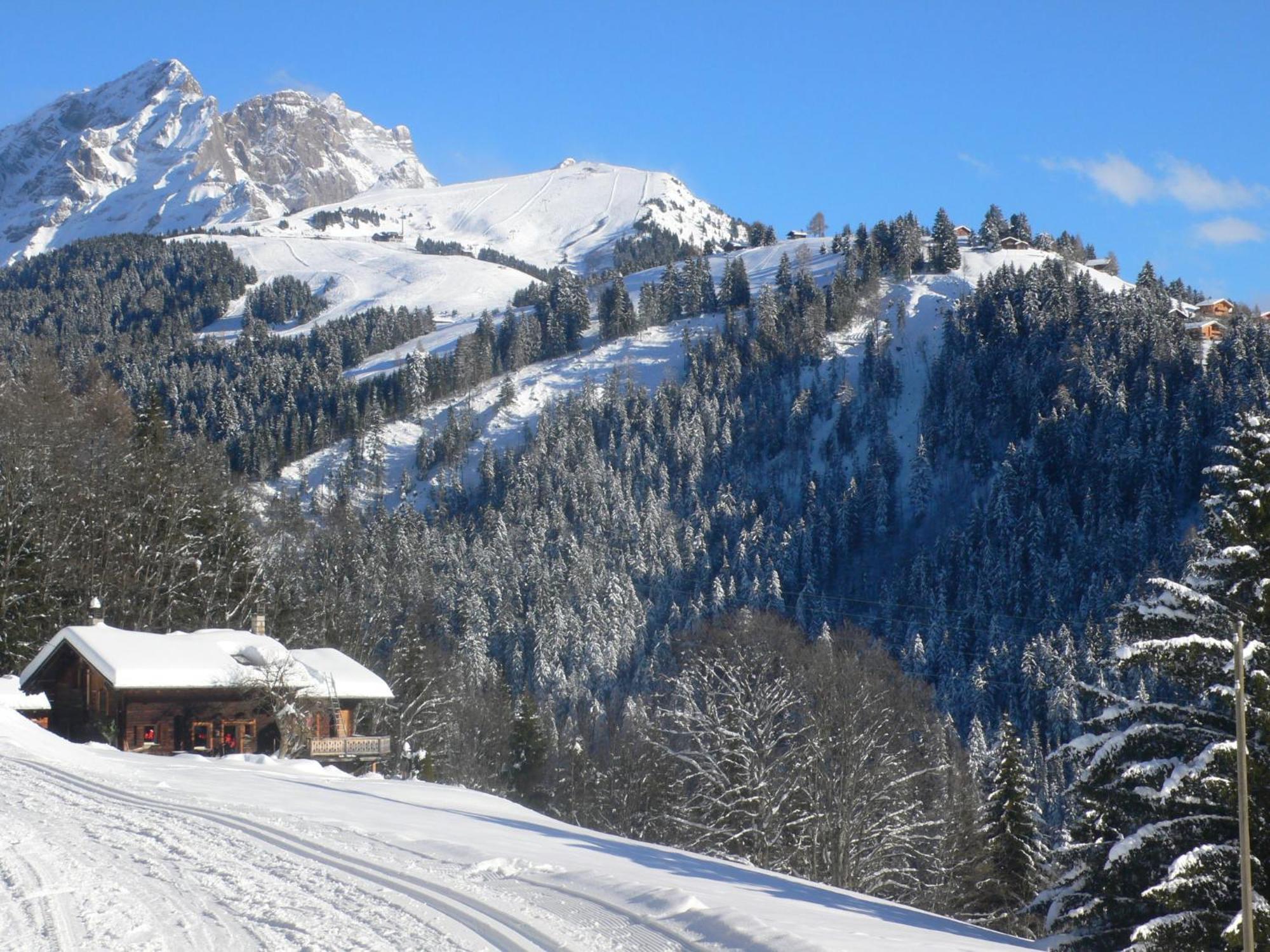 Villa Chalet Chalet Maurice à Chesières